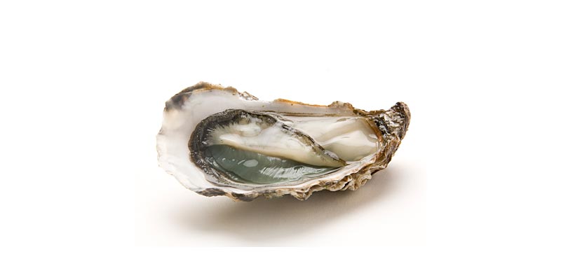 huitres-marennes-oleron huitres-marennes-oleron