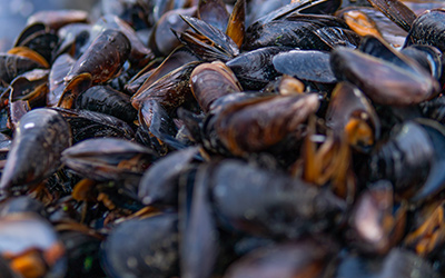 moules-label-rouge